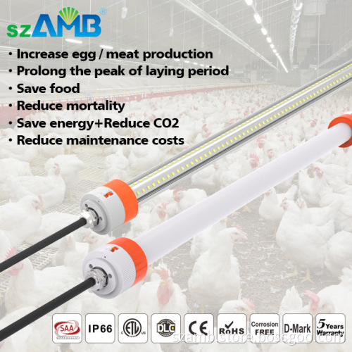 9w led tube light t8 34